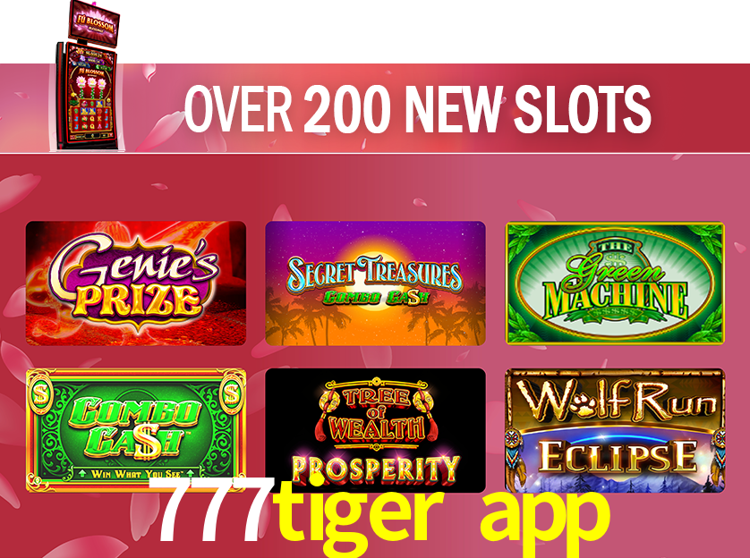 Estatísticas Crash Games 777tiger app
